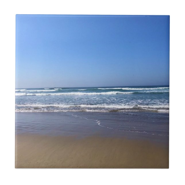 Azulejo Yaquina Bay State Recreation Site, Newport, Oregón (Frente)