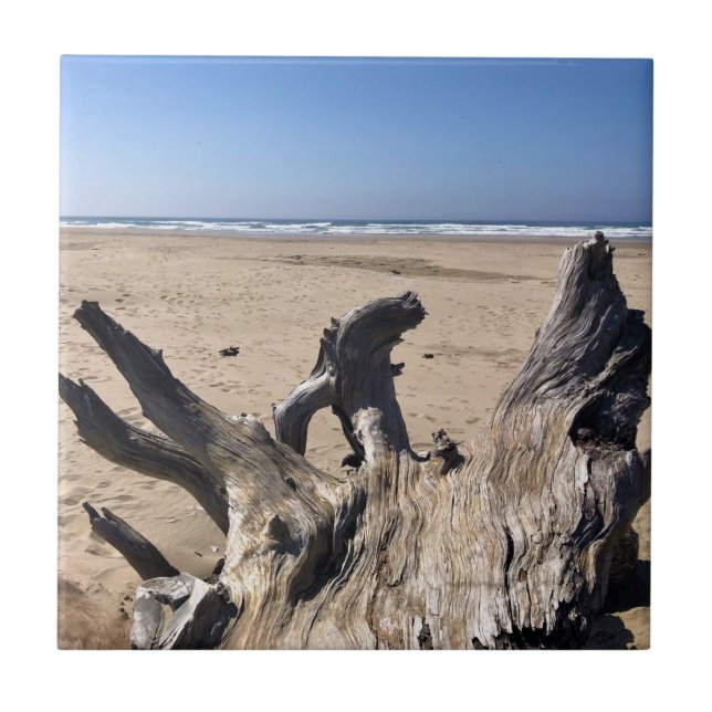 Azulejo Yaquina Bay State Recreation Site, Newport, Oregón (Frente)