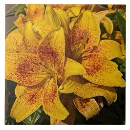 Azulejo Yellow Astiatic Lily Blooms Floral