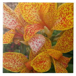 Azulejo Yellow Canna Lily with Red Speckles Floral