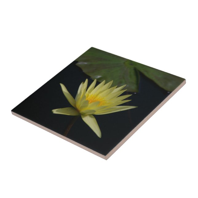 Azulejo Yellow Lotus Waterlily (Lado)