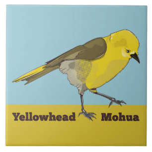 Azulejo Yellowhead Mohua