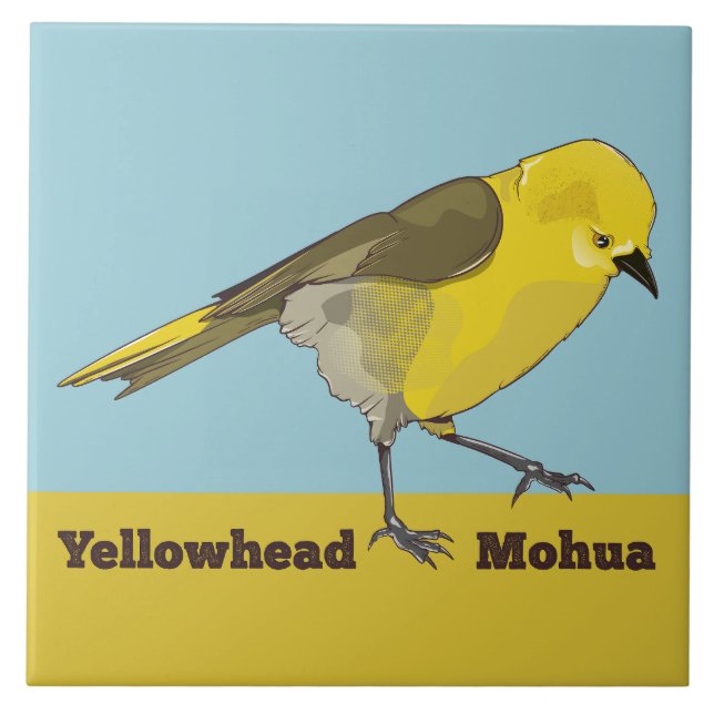 Azulejo Yellowhead Mohua (Frente)
