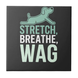 Azulejo Yoga de perro Doga Bienestar de mascotas Estiramie