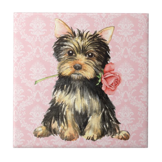 Azulejo Yorkie subió tarjeta del día de San Valentín (Frente)