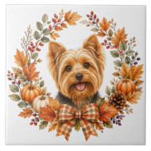 Yorkshire Terrier Otoño