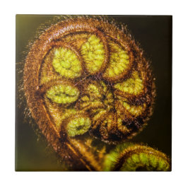 Azulejo Young Fern Leaves