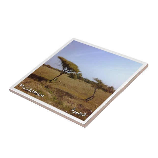 Azulejo zAE033 Naturaleza de FUJAIRAH, Emiratos Árabes Uni (Lado)