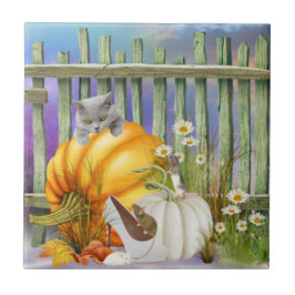 Azulejo Zapato blanco perdido en la colección de parches d