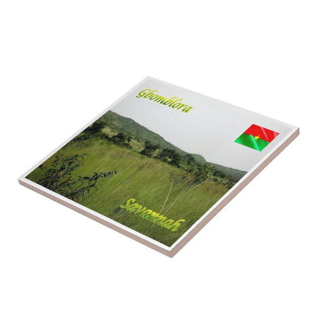 Azulejo zBF012 GBOMBLORA, Savannah, Burkina Faso, (Lado)