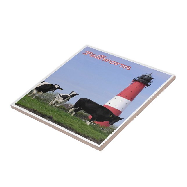 Azulejo zDE056 PELLWORM LIGHTHOUSE Islas Frisas (Lado)