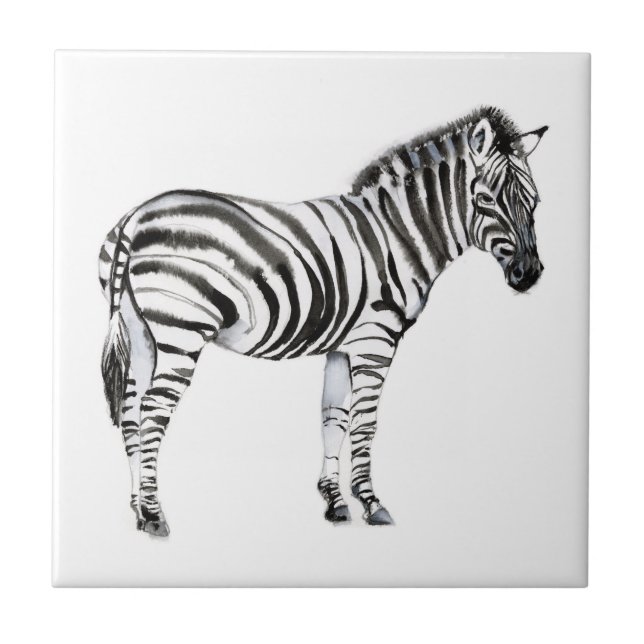 Azulejo Zebra permanente (Frente)