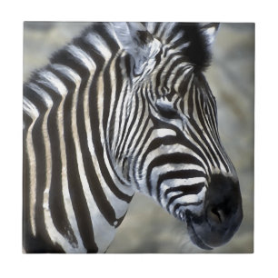 Azulejo Zebras Lovers Art