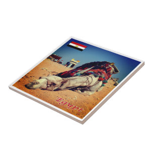 Azulejo zEG021 EGIPTO, Camerún, África,