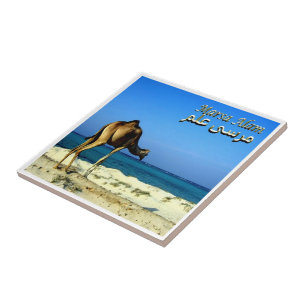 Azulejo zEG047 MARSA ALAM, Mar Rojo, Egipto,