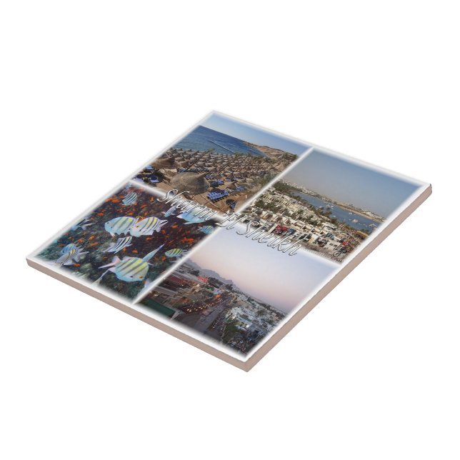 Azulejo zEG069 SHARM EL SHEIK, Mar Rojo, EGIPTO, (Lado)