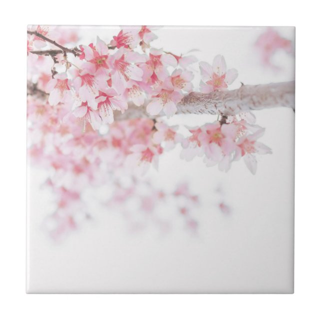 AZULEJO ZEN CHERRY BLOSSOM FLORAL CERAMIC TILE (Frente)