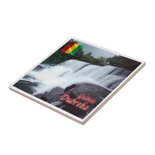 Azulejo zGN005 DUBREKA FALLS, Guinea, África,