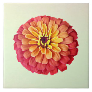 Azulejo Zinnia en tonos Naranjas