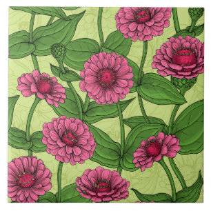 Azulejo Zinnias rosas sobre verde claro