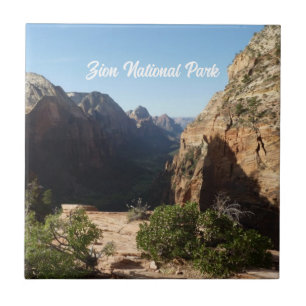 Azulejo Zion desde el sendero Angels Landing Zion National