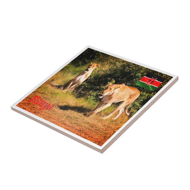 Azulejo zKE005 KENYA, Leones, África, (Lado)