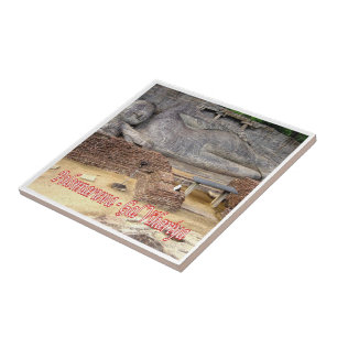 Azulejo zLK021 GAL VIHARIYA, Polonnaruwa Sri Lanka,