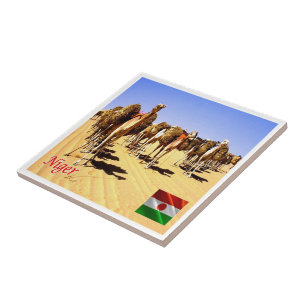 Azulejo zNE007 NIGER, Oasis Bilma, África,