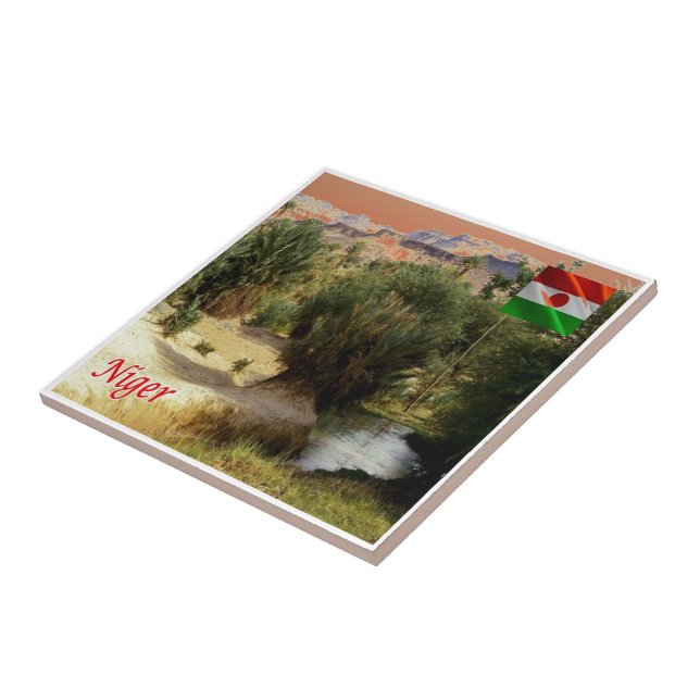 Azulejo zNE008 NIGER, Oasis Bilma, África,