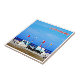 Azulejo zNL022 SCHIERMONNIKOOG beach, Frisian Islands,