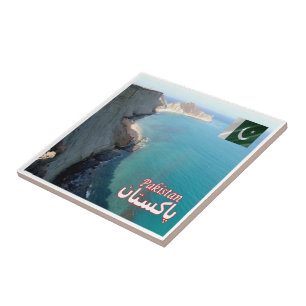 Azulejo ZPK011 ISLA ASTOLA, Pakistán, Asia, Fridge