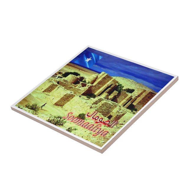 Azulejo zSO005 SOMALIA, Castillo de Taleh, África, (Lado)