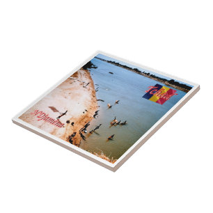 Azulejo zTD005 N'DJAMENA, Costa Beach Chari,