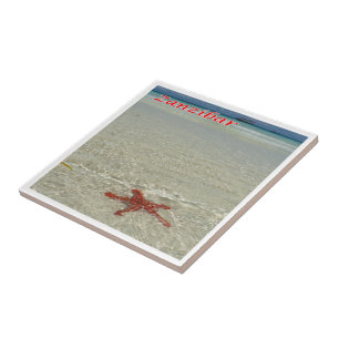 Azulejo zTZ011 ZANZÍBAR, Estrella de mar,Tanzania, África,