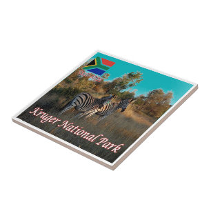 Azulejo ZZA004 Parque Nacional KRUGEN, Sudáfrica,