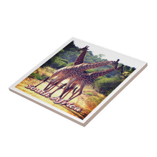 Azulejo ZZA011 SUDÁFRICA, jirafas,