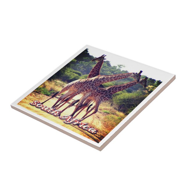 Azulejo ZZA011 SUDÁFRICA, jirafas, (Lado)
