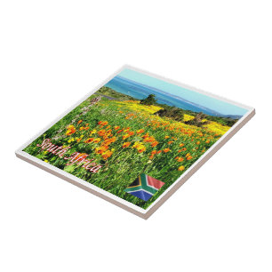 Azulejo zZA024 SUDÁFRICA, Costa Oeste N.P. WESKUS,