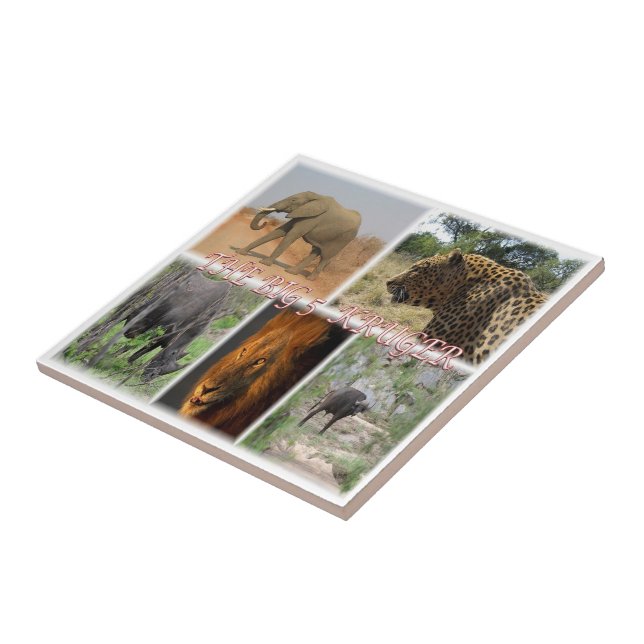 Azulejo ZZA027 SUDÁFRICA, LOS GRANDES 5 en KRUGER NP (Lado)