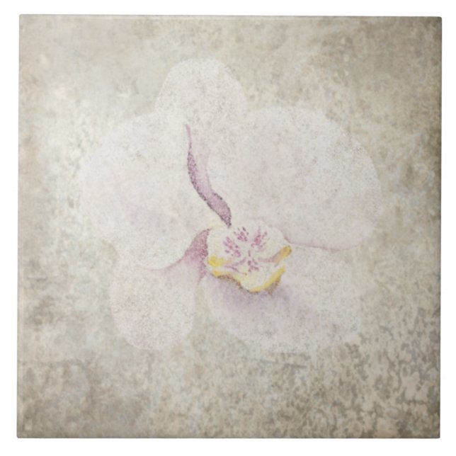 Azulejos botánicos mayores - Aqua y Bone V5 (Frente)