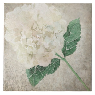 Azulejos botánicos mayores - Aqua y óseo V2