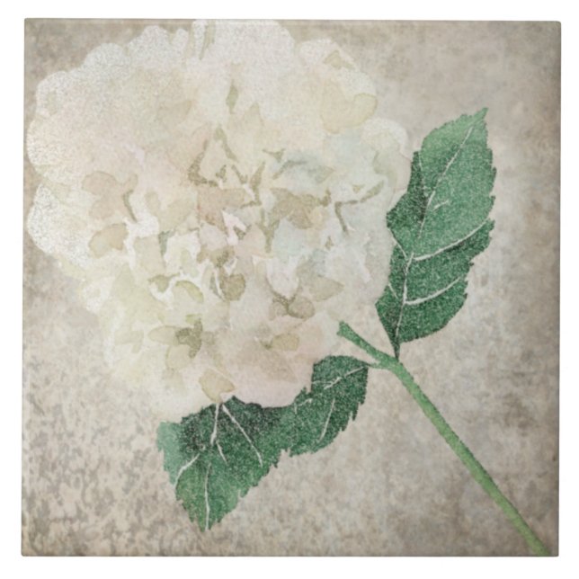 Azulejos botánicos mayores - Aqua y óseo V2 (Frente)