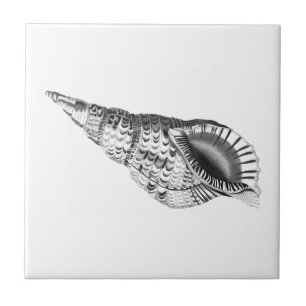 AZULEJOS CERAMIC SEALIFE