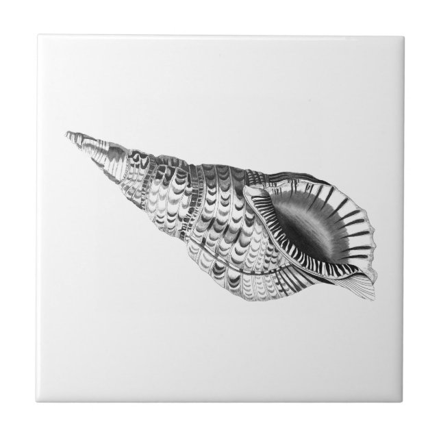 AZULEJOS CERAMIC SEALIFE (Frente)