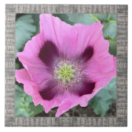 Azulejos cerámicos de 6"x 6" con adormidera rosa m