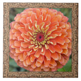 Azulejos cerámicos de 6"x 6" con Naranja llamativo