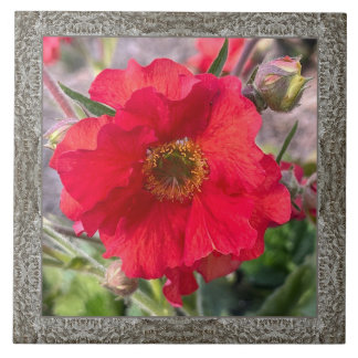 Azulejos cerámicos de 6"x 6" con rosa roja encanta