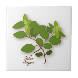 Azulejos cerámicos de la hierba de Oregano