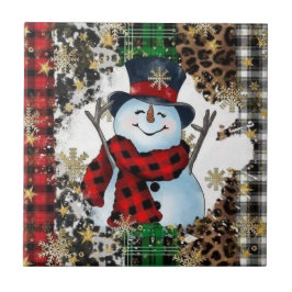 Azulejos Cerámicos de Muñeco de Nieve 3D Alegres