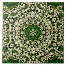 Azulejos cerámicos de primavera